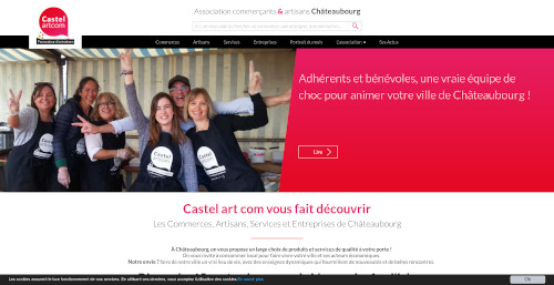 Capture d'écran du site de l'association castelartcom